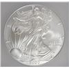 Image 2 : 2007-W PROOF SILVER AMERICAN EAGLE ICG SP-69