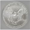 Image 3 : 2007-W PROOF SILVER AMERICAN EAGLE ICG SP-69