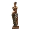Image 1 : Venus De Milo Cold Cast Bronze Statue