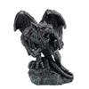 Image 1 : GARGOYLE STATUE