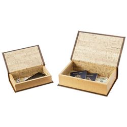 2pc Faux Book Safe Set