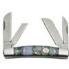 Image 1 : 3.5" CLOSED SIMULATED BONE HANDLE FOLDING POCKET KNIFE
