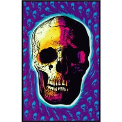 SKULL POSTER