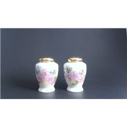 Hand Painted Salt and Pepper Shaker Set, Gold Topped, S