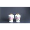 Image 1 : Hand Painted Salt and Pepper Shaker Set, Gold Topped, S