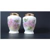 Image 2 : Hand Painted Salt and Pepper Shaker Set, Gold Topped, S