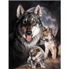 Image 1 : WOLF EXPERIENCE METAL SIGN