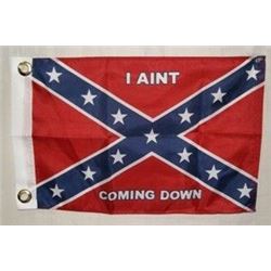 CONFEDERATE FLAG 12" x 18"