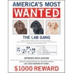 WANTED LAB GANG METAL SIGN