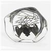 Image 1 : Bat in Clear Lucite