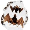 Image 1 : TWO Brown Bat in Clear Lucite