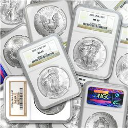 Silver American Eagle MS-69 NGC (Random Year)