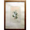 PAINTINGS & SCULPTURES, SOPHIE SILVERSPARRE 1783-1815, AKVARELL, BLOMSTERBUKETT, 32X22, SIGN. 180…