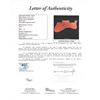 Image 5 : Bruce Springsteen Signed Glen Burton Semi-Hollowbody Electric Guitar (JSA LOA)