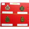 Image 1 : MILITARY CAP BADGES