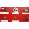 Image 2 : MILITARY CAP BADGES