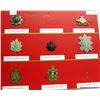 Image 3 : MILITARY CAP BADGES