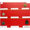 Image 2 : MILITARY CAP BADGES