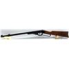 Image 1 : DAISY SPECIAL 195 BB GUN