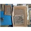 Image 8 : Misc High Speed Shank & Burr Tips