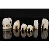 Image 2 : A SET OF IVORY CARVED ORNAMENT (6 ITEMS)  DISCLAIMER: This item is restricted from export out of the