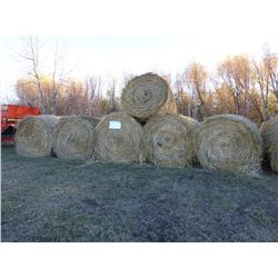 11 GREEN FEED BALES