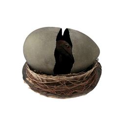 Q The Winged Serpent Stop Motion Egg Movie Props