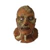 Image 1 : House on Haunted Hill Corpse Mask