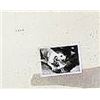 Image 1 : ORIGNIAL 1979 FLEETWOOD MAC VINYL - TUSK