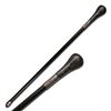 Image 1 : WLAKING CANE