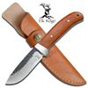 Image 1 : ELK RIDGE 8" WOODEN HANDLE FIXED BLADE KNIFE W/LEATHER