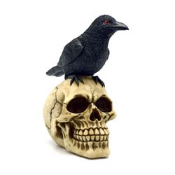 Skull with Raven