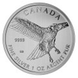 Canadian Silver 1 oz Red-Tailed Hawk 2015 (Birds of Pre