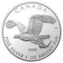 Canadian Silver 1 oz Bald Eagle 2014 (Birds of Prey Ser