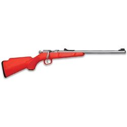 _NEW!_ HENRY REPEATING ARMS MINI-BOLT 22 LR 619835015013