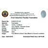 Image 2 : 14.17ctw Cabochon Paraiba Tourmaline Parcel