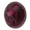 Image 1 : 18.06ctw Cabochon Ruby Parcel