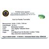 Image 2 : 10.15ctw. Oval Cut Paraiba Tourmaline