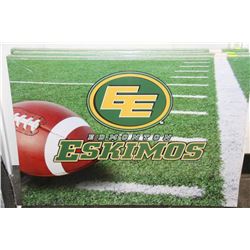 FRAMED CANVAS PICTURE ILLUMINATED W/ LED