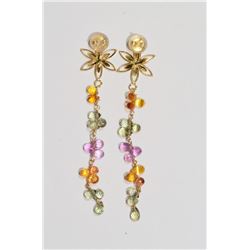 10kt Yellow Gold Sapphire Earrings MSRP $2000