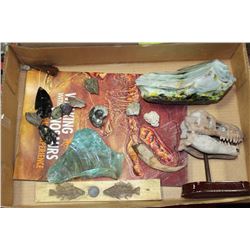 BOX OF ROCKS AND FOSSILS