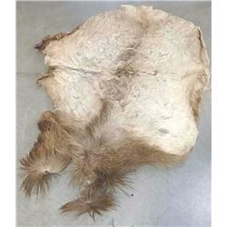 Elk hide