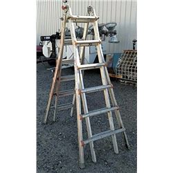Little giant step ladder type IA model M26