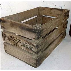 Big Y brand great 20" x12" x11"