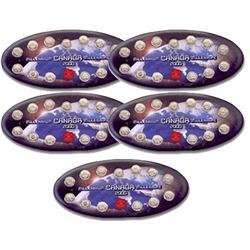 Group Lot of 5x Canada 2000 Millennium 12-coin 25-cent Commemorative Sets with Millennium Token from