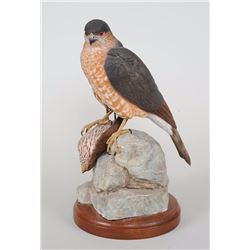 Finely Carved Sharp-Shinned Hawk Signed Illegibly 12" H.  Good Condition