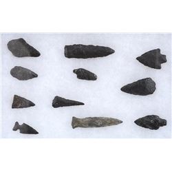 Eleven Northwest Coast Arrowheads 1 3/8" L. - 3" L.