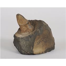 Early Erotic Shaman's Fetish Stone From Manitoba 4"x 5"