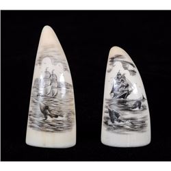 Two Northwest Coast Marine Ivory Teeth 2 1/2" L. and 3" L.  Good Condition NOT ALLOWED TO SHIP OUTSI