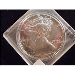 1989 AMERICAN SILVER  EAGLE UNC